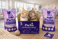 ARENA CATCLEAN